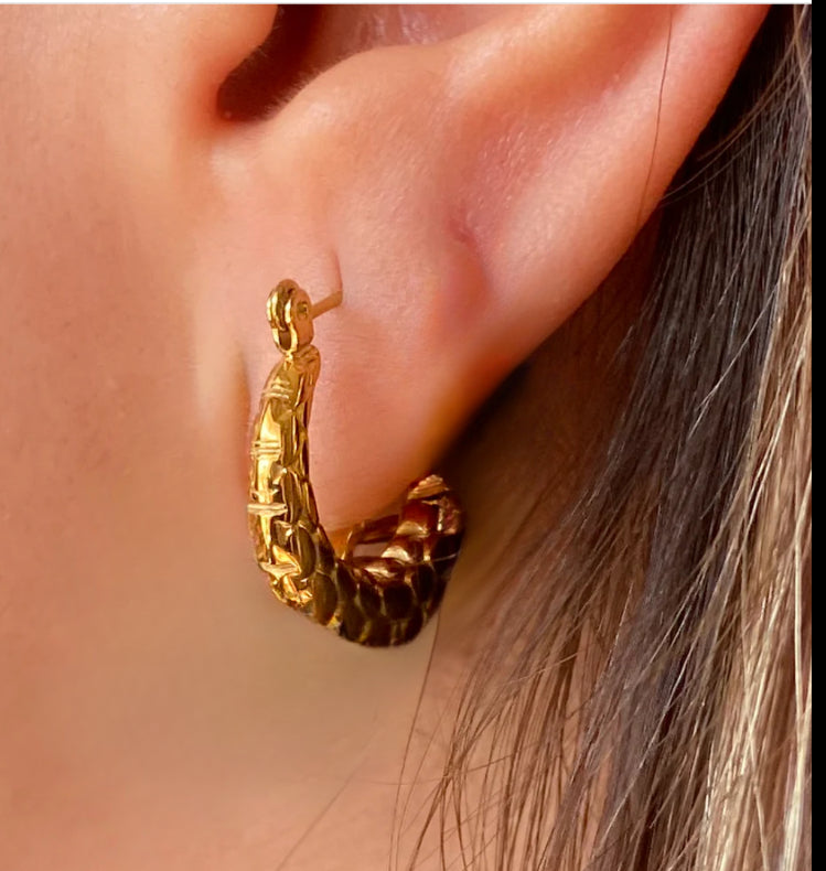 Stainless Steel Shrimp Hoop Earrings - Vintage Curved Design